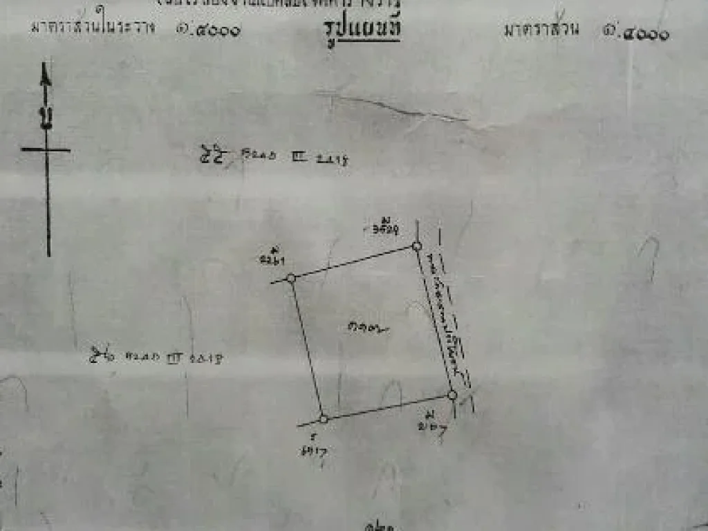 ขายที่นาติดถนน 10 ไร่ 2 งาน เหมา 1 ล้าน เจ้าของขายเอง