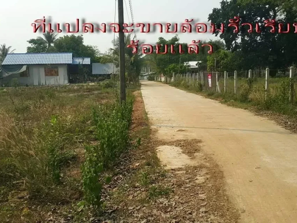 ขายที1ไร่บ้านหนองหว้าขามใหญ่ อุบลราชธานี