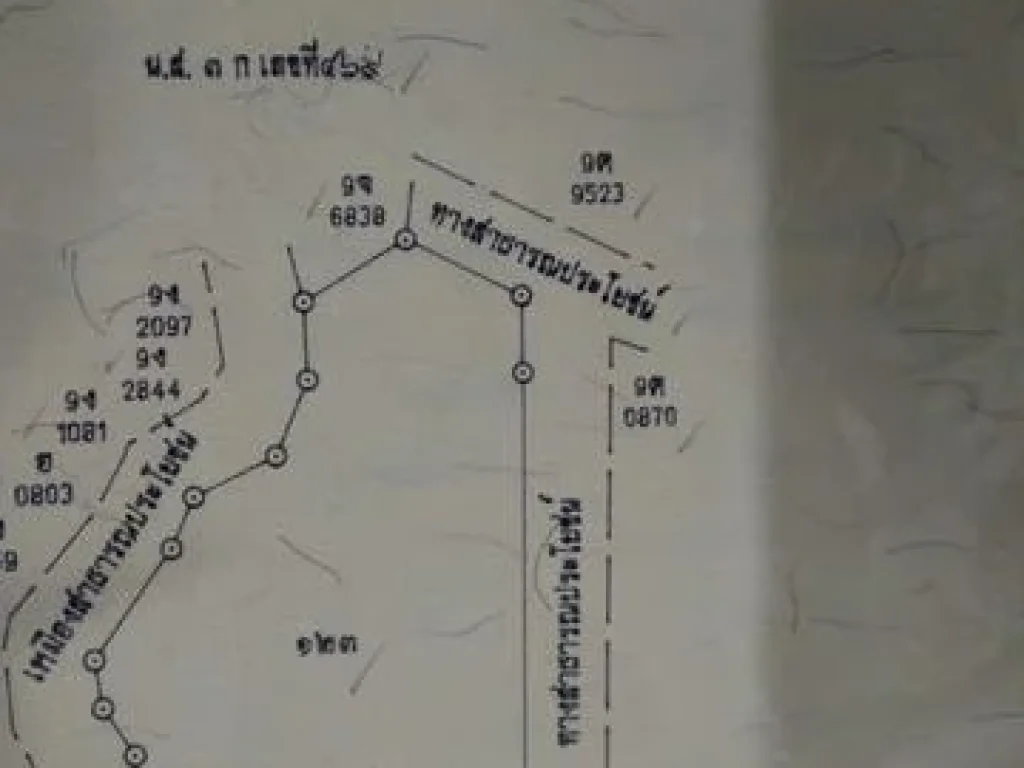 ที่โฉนดสวนปาล์ม 5 ไร่ 2 งาน หน้ากว้างติดถนน ด้านหลังติดคลองสาธารณะตลอดแนว