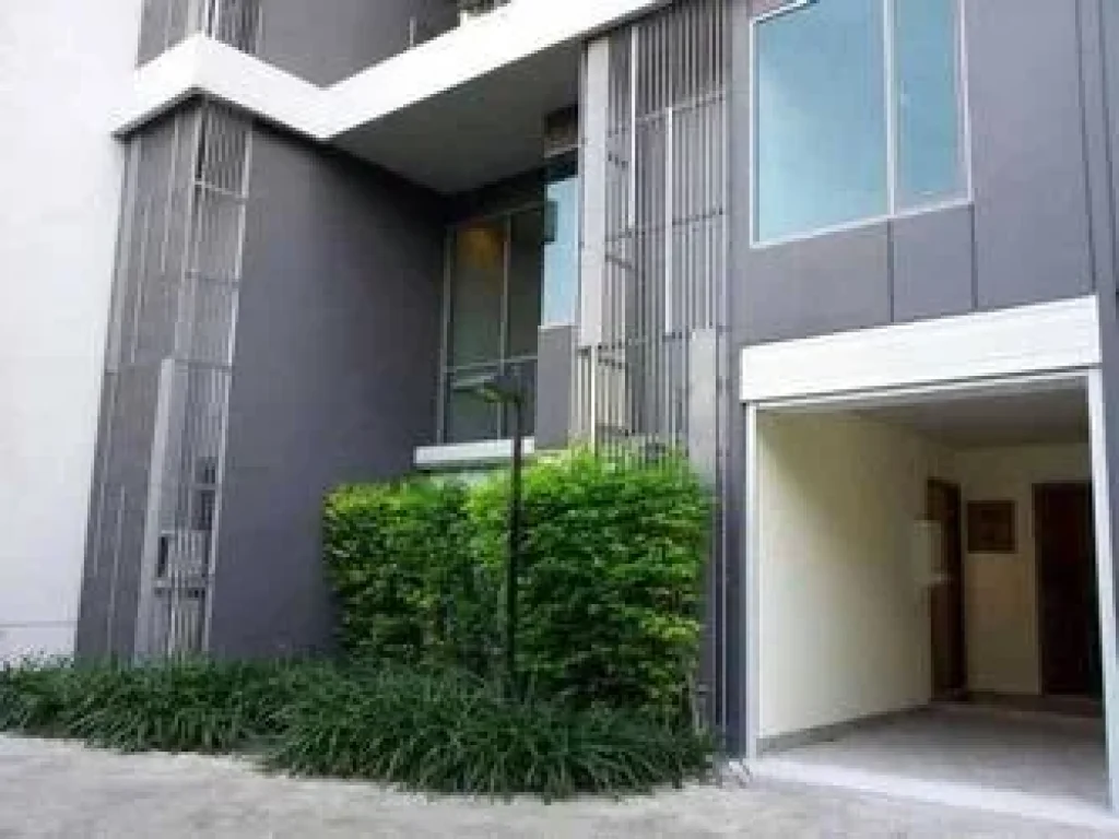 ปล่อยเช่า คอนโด CEIL BY SANSIRI Duplex Penthouse เอกมัย 12