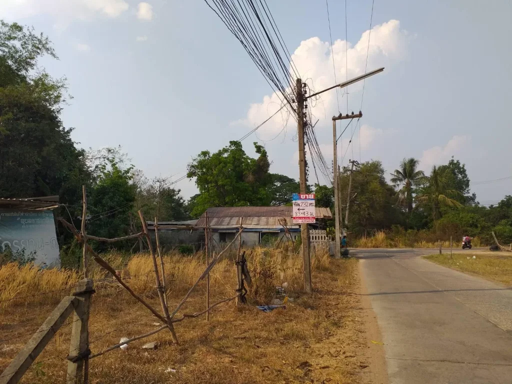 ขายที่ดินใกล้โรงเรียนบ้านหนองหว้า 232 ตรว ขามใหญ่