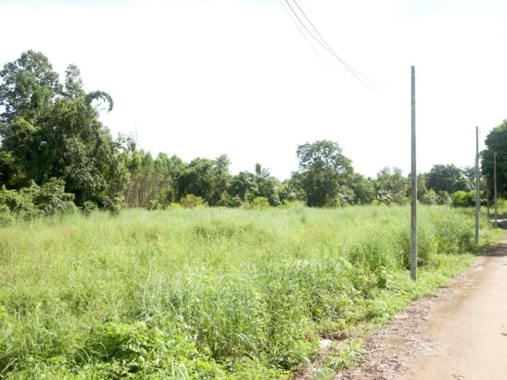 ขายที่ดิน 5ไร่ จังหวัดปราจีนบุรี บ้านนา กบินทร์