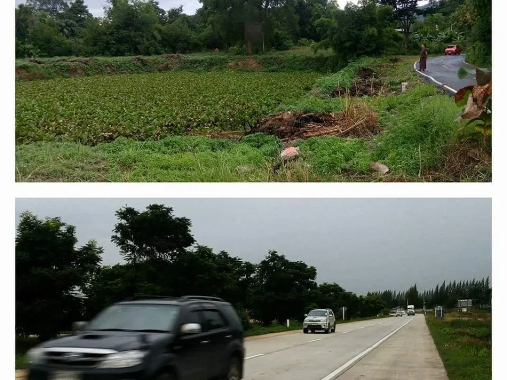 ขาย ที่ดิน 9ไร่ ติดถนน สุดสวย ทางเลี่ยงเมือง เส้นพระพุทธฉาย