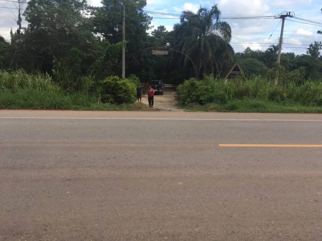 ที่ดินโฉนด 101 ไร่ ติดถนนสายหลัก21 ติดลำห้วย ใกล้ย่านชุมชน อภูเรือ จเลย