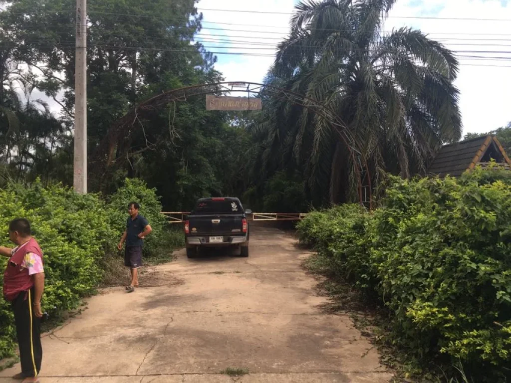 ที่ดินโฉนด 101 ไร่ ติดถนนสายหลัก21 ติดลำห้วย ใกล้ย่านชุมชน อภูเรือ จเลย