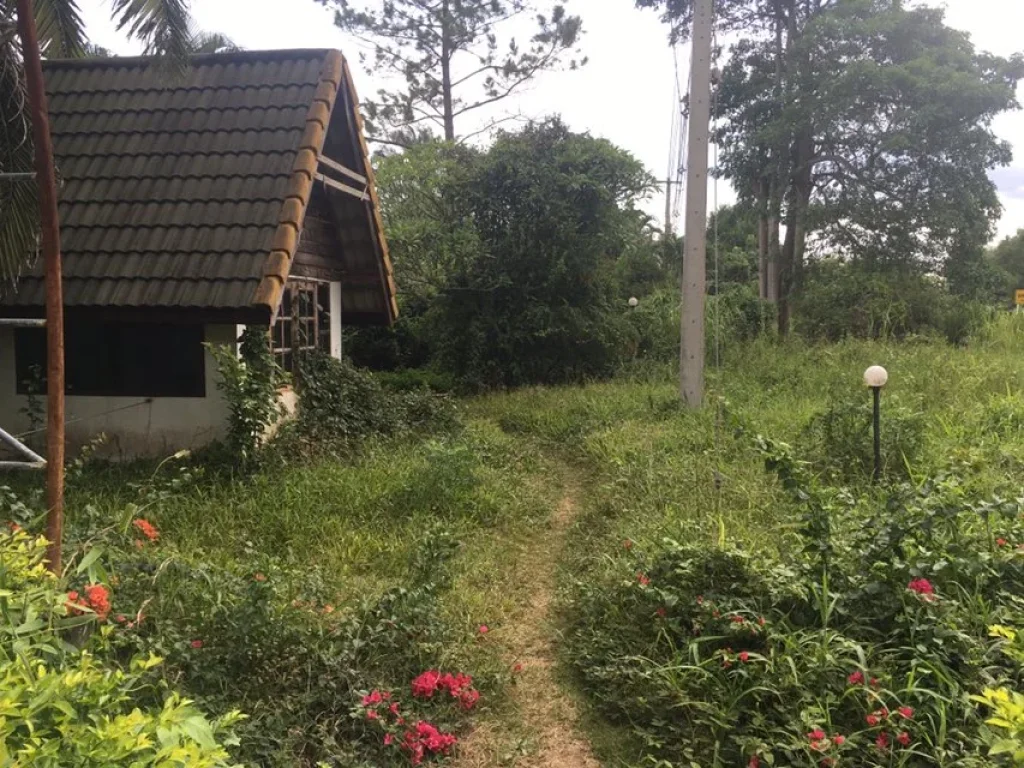 ที่ดินโฉนด 101 ไร่ ติดถนนสายหลัก21 ติดลำห้วย ใกล้ย่านชุมชน อภูเรือ จเลย