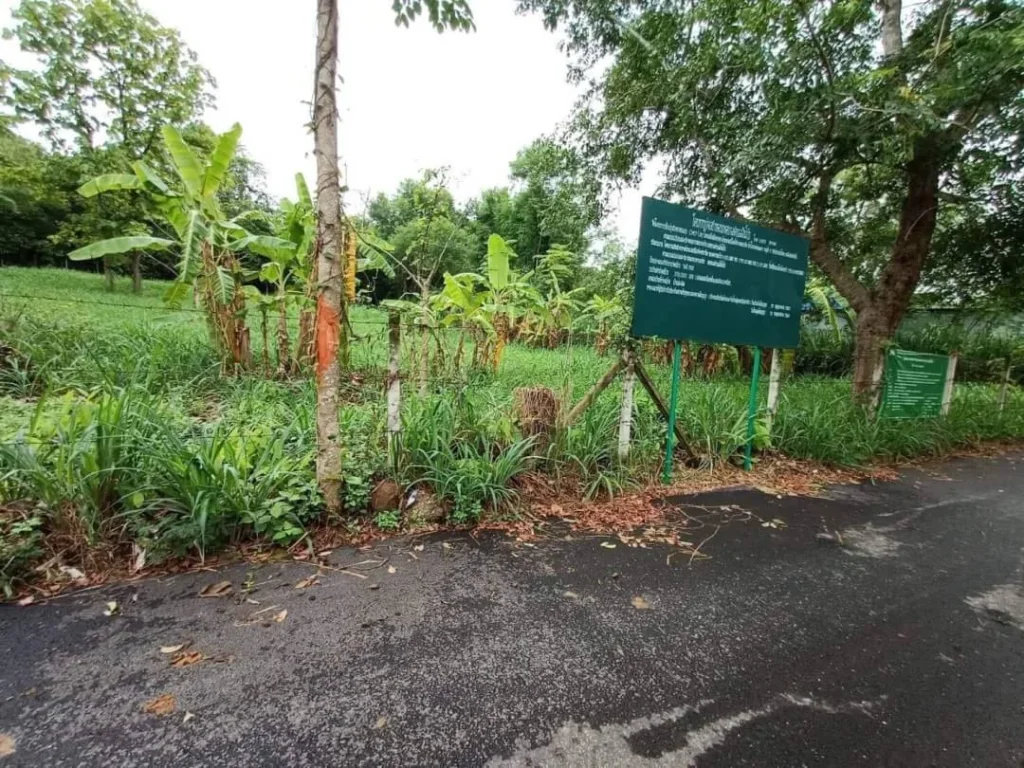 ขายที่ดินสันโป่งแม่ริม ห่างตัวเมืองเชียงใหม่ 24 km