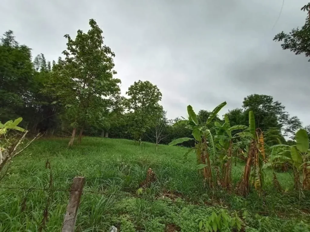 ขายที่ดินสันโป่งแม่ริม ห่างตัวเมืองเชียงใหม่ 24 km