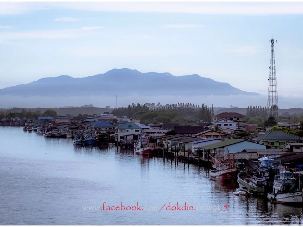 ขายที่ดินติดแม่น้ำประแสร์ ใกล้ตลาดร้อยปี โฉนด 4 ไร่