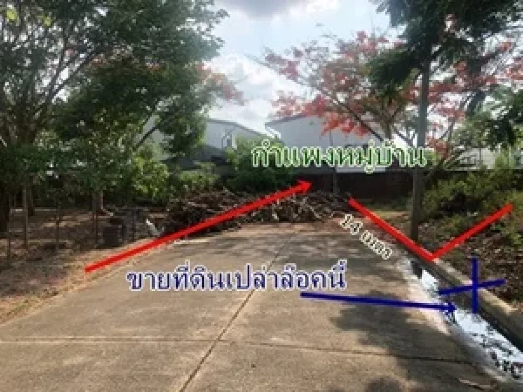 ขายที่ดินเปล่า ในหมู่บ้านชัยพฤกษ์ บางบัวทอง 70 ตรว เข้าซอย 34 ในหมู่บ้าน 200 เมตร