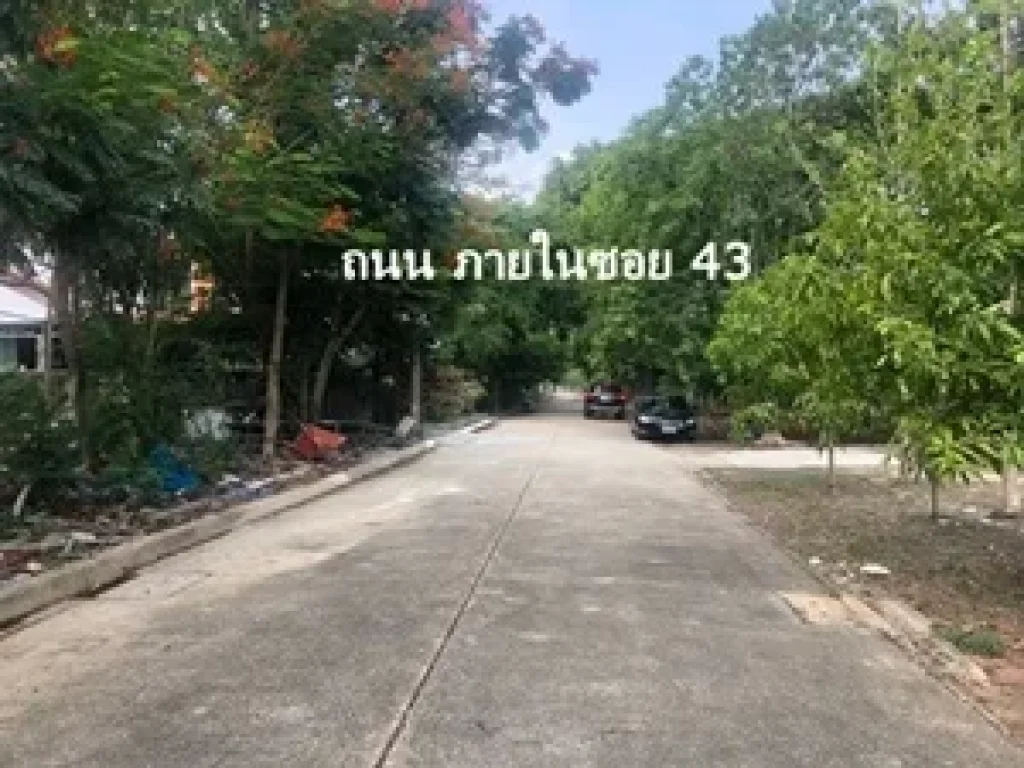 ขายที่ดินเปล่า ในหมู่บ้านชัยพฤกษ์ บางบัวทอง 70 ตรว เข้าซอย 34 ในหมู่บ้าน 200 เมตร