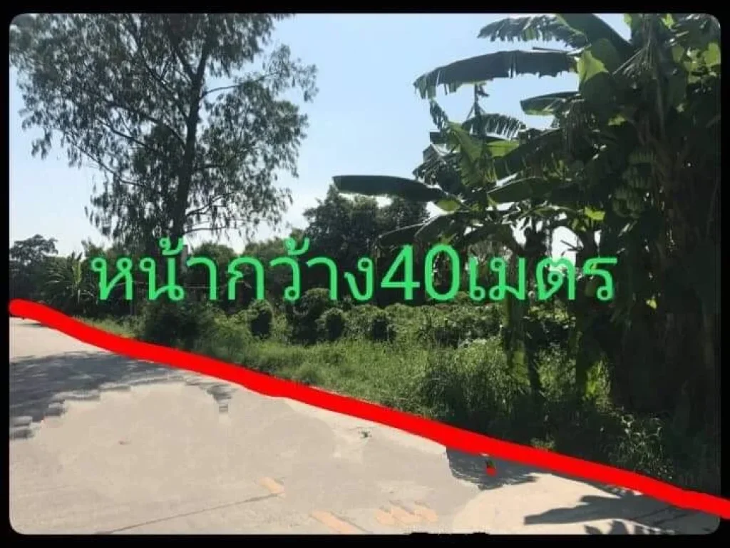 ขายที่ดินธัญบุรีคลองรังสิต 32-0-48ไร่