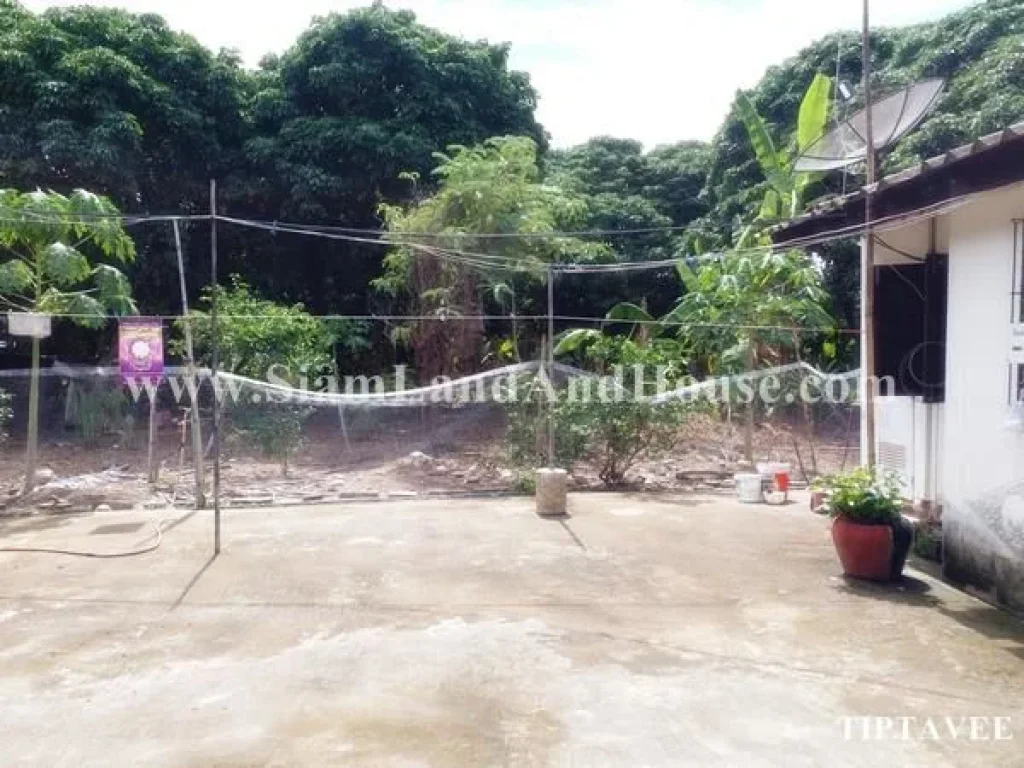 ขายที่ดินเชียงใหม่ ที่ดินถูก ใกล้โรงพยาบาลสันป่าตอง เชียงใหม่ Sale Land Near Sanpatong Hospital Chiangmai THAILAND