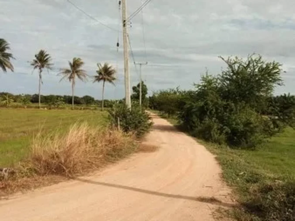 ที่ดินเปล่า สามารถทะลุไปชายหาดชะอำ จเพรชบุรี เนื้อที่ 2 ไร่ 2 งาน 27 ตรว