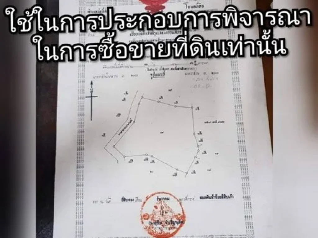 ขายที่ดินตามโฉนด ตัดขาย 8 ไร่ ที่ดินสวนยางย่านเศรษฐกิจใกล้เมืองหาดใหญ่