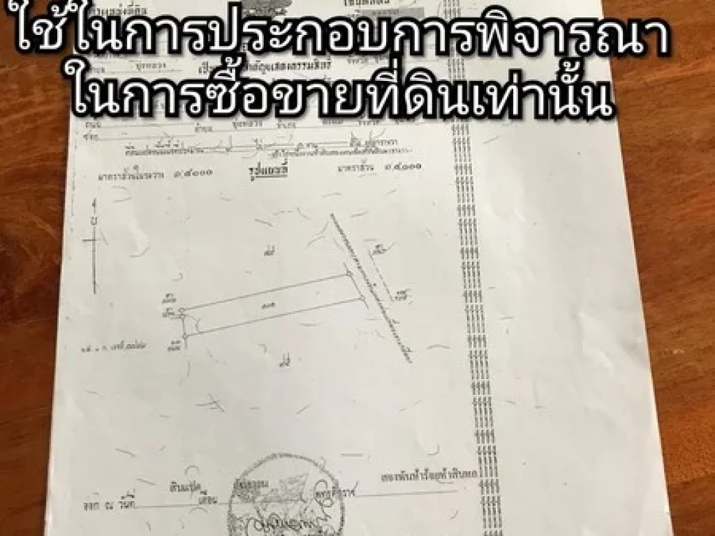 ที่ดินสวนปาล์ม พร้อมบ้าน 1 หลัง จังหวัดชุมพร เนื้อที่ 9 ไร่ 1 งาน 52 ตรว