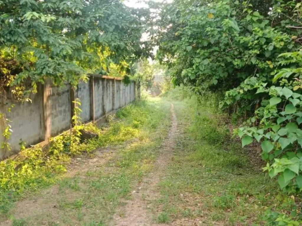 ขายที่ดินร่มหลวง แม่แฝก สันทราย เชียงใหม่