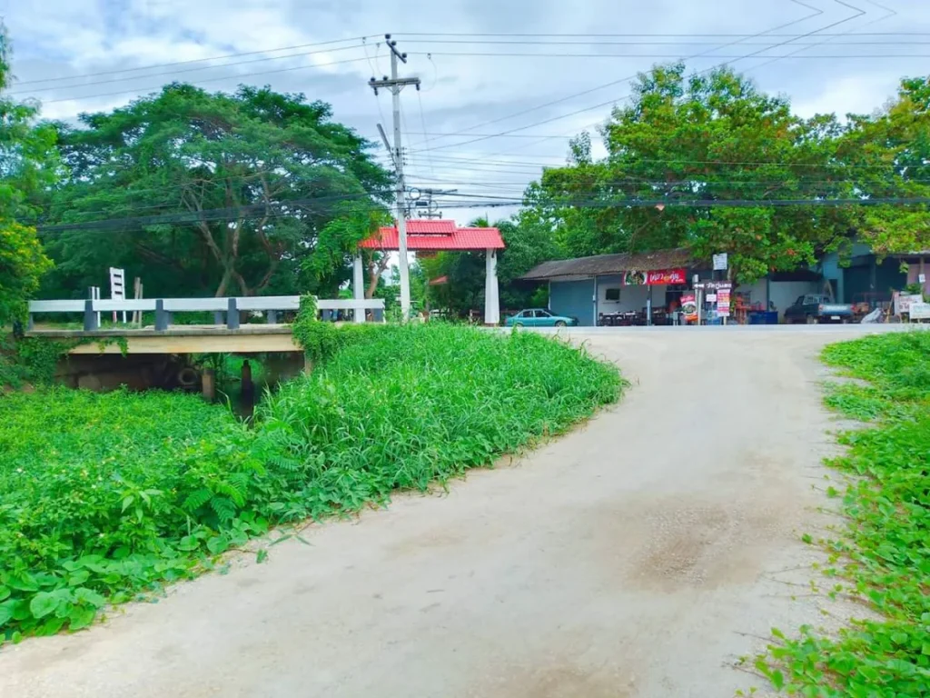 ขายที่ดินดอนแก้วห่างถนนหลัก 200 เมตร สารภี เชียงใหม่