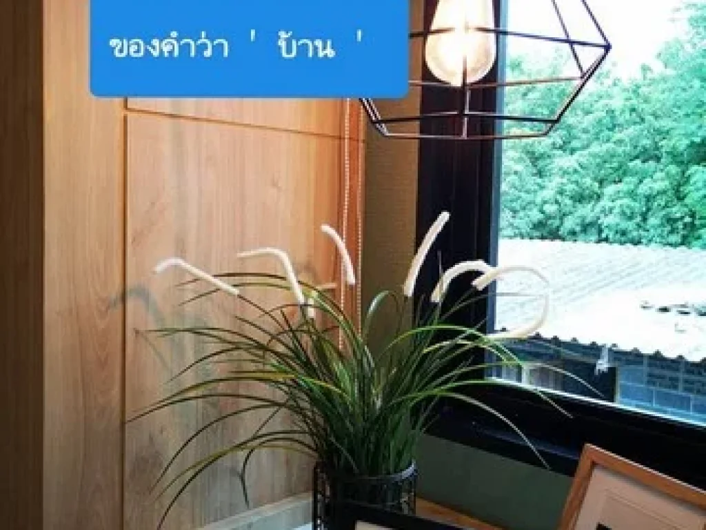 ขายทาวน์โฮม สไตล์ LoFt ที่ระยอง ดิ ไอเดียล บายพาส 36-ทับมา ถูกใจคนรักดีไซน์เรียบง่าย