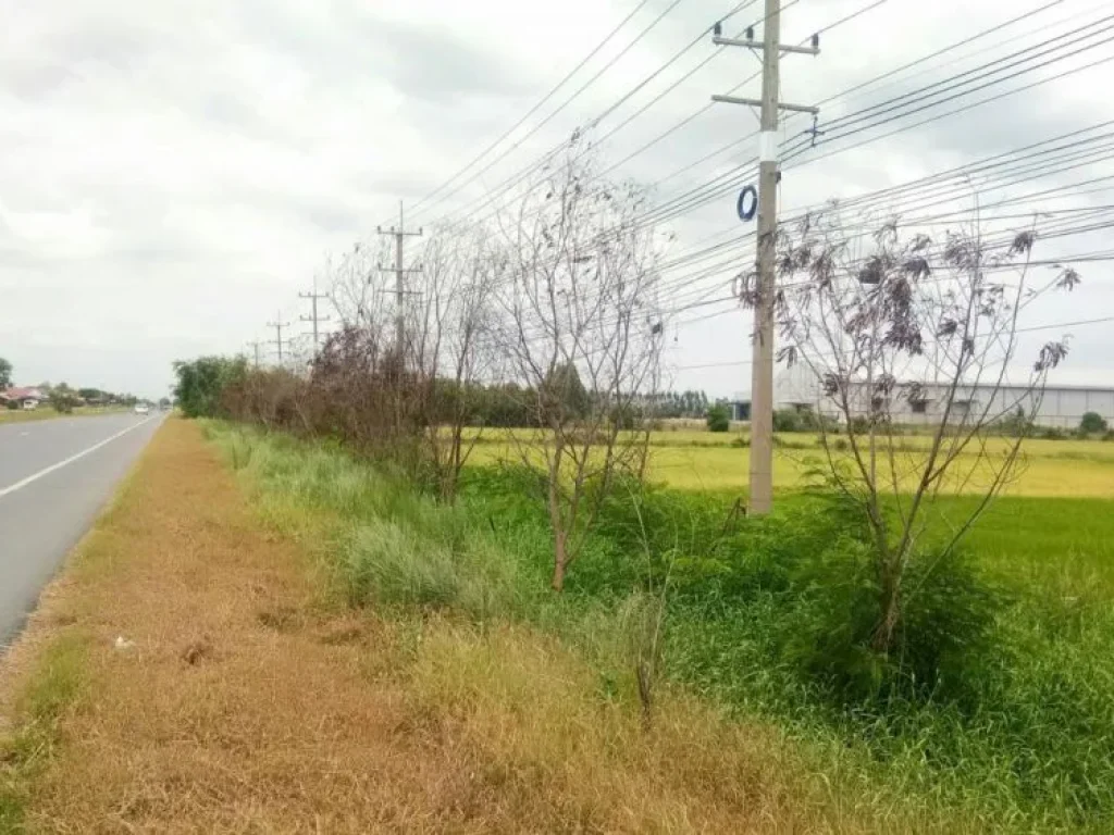 ขายที่ดินติดถนน สุพรรณบุรี-เสนา