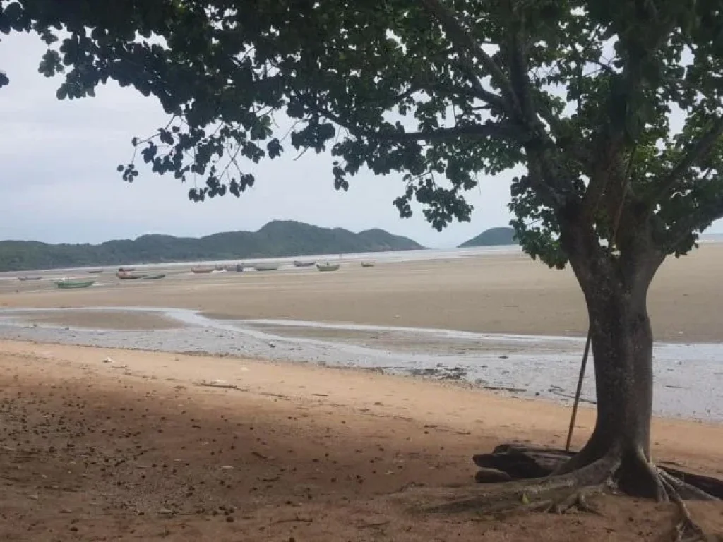 ขาย ที่ดิน ติดทะเล หาดเจ้าหลาว จันทบุรี