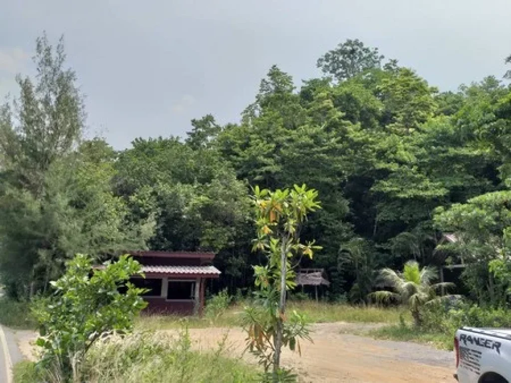 ที่ดินติดชายทะเล อยู่ติดกับท่าเรือไปเกาะตะรุเตา จังหวัดสตูล มีเนื้อที่ 3 ไร่