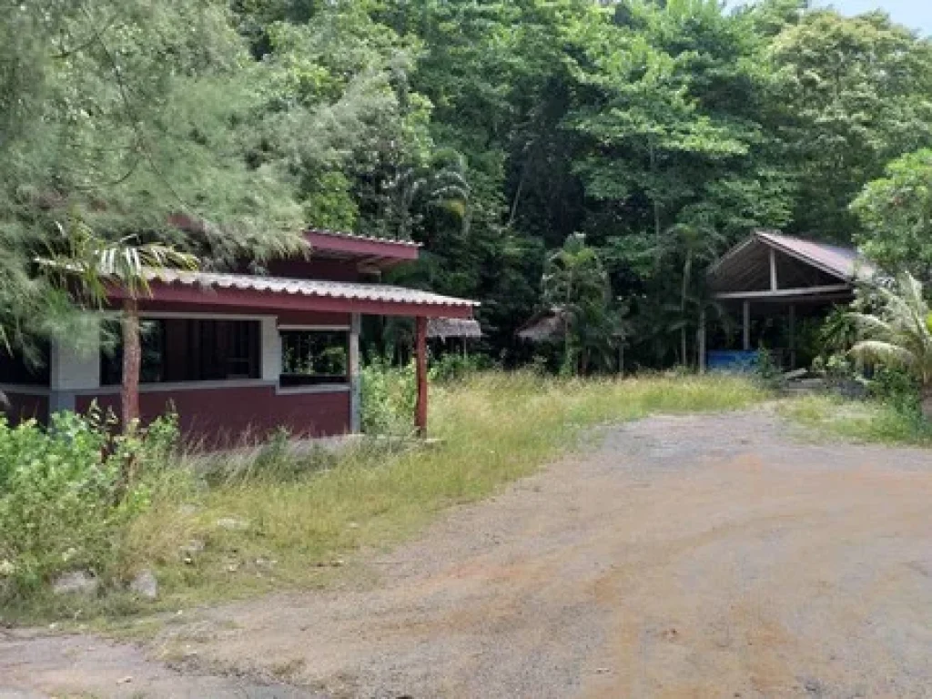 ที่ดินติดชายทะเล อยู่ติดกับท่าเรือไปเกาะตะรุเตา จังหวัดสตูล มีเนื้อที่ 3 ไร่