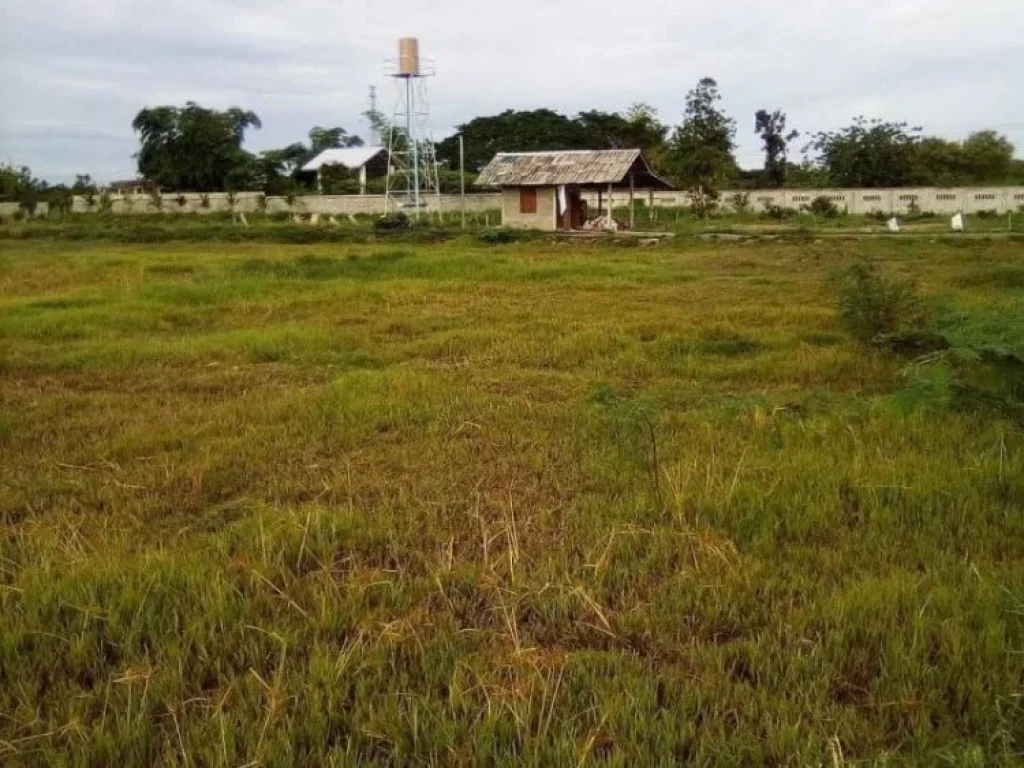 ขายที่ดินใกล้สนามบินเชียงใหม่