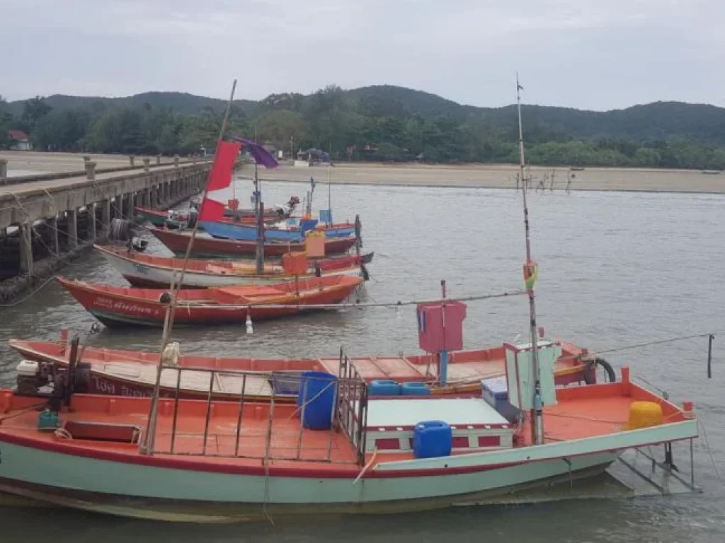 ขาย ที่ดินโลเคชั่นดี อยู่ติดทะเล หาดเจ้าหลาว จันทบุรี เหมาะสำหรับผู้ที่ต้องการลงทุนกิจการรีสอร์ท โรงแรม ที่พักตากอากาศ ื