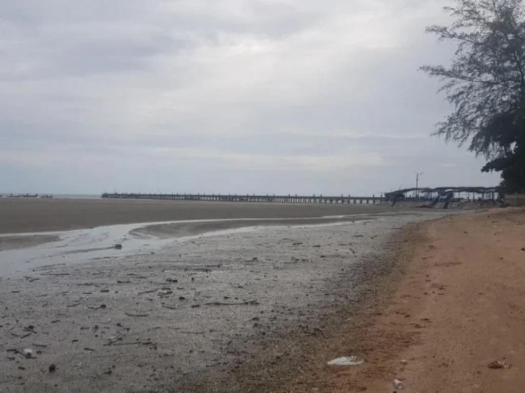 ขาย ที่ดินโลเคชั่นดี อยู่ติดทะเล หาดเจ้าหลาว จันทบุรี เหมาะสำหรับผู้ที่ต้องการลงทุนกิจการรีสอร์ท โรงแรม ที่พักตากอากาศ ื