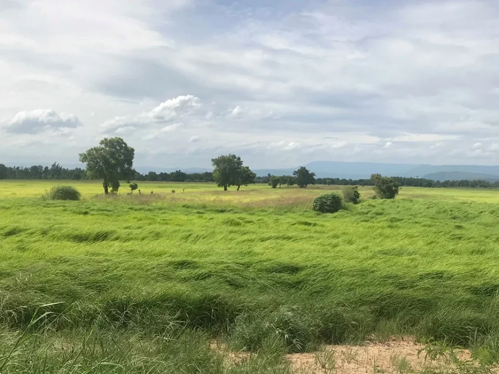 ขายที่ดิน ตัวเมืองปราจีนบุรี