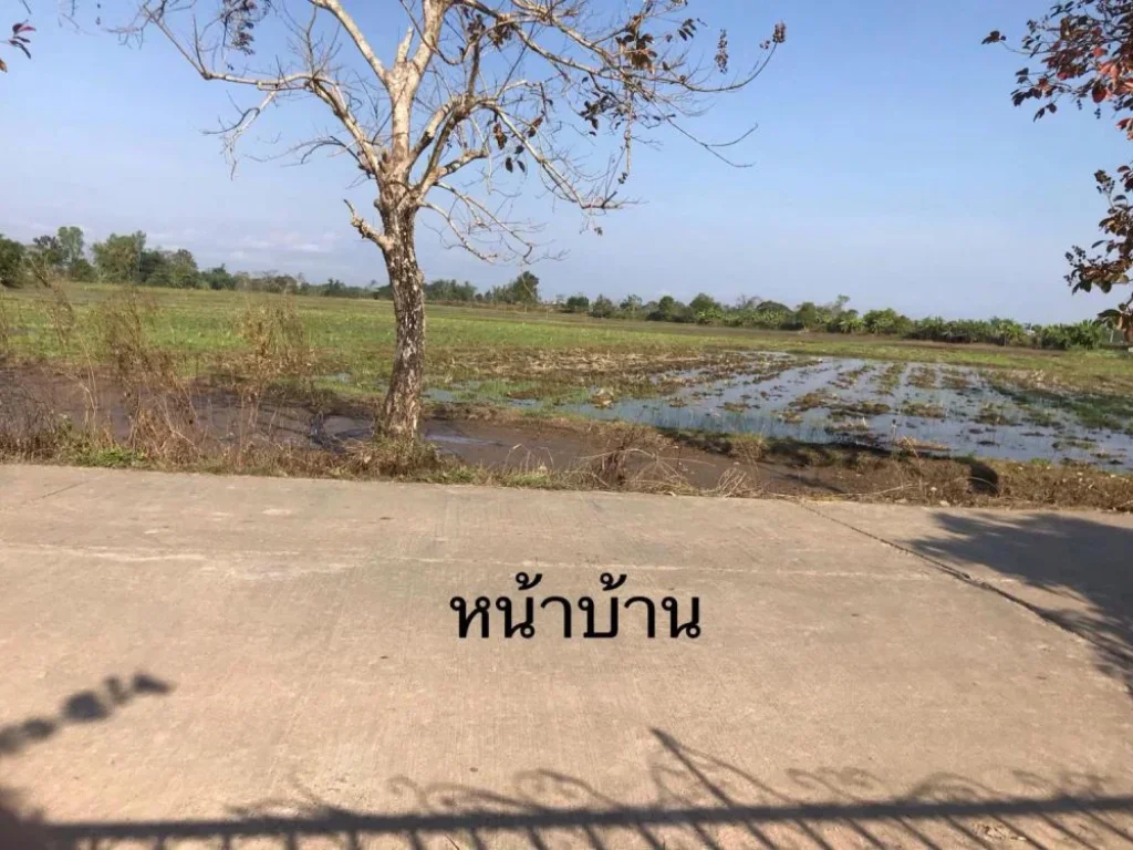 ขายบ้านพร้อมที่ดิน 4ไร่70ตรว เวียงชัย จเชียงราย