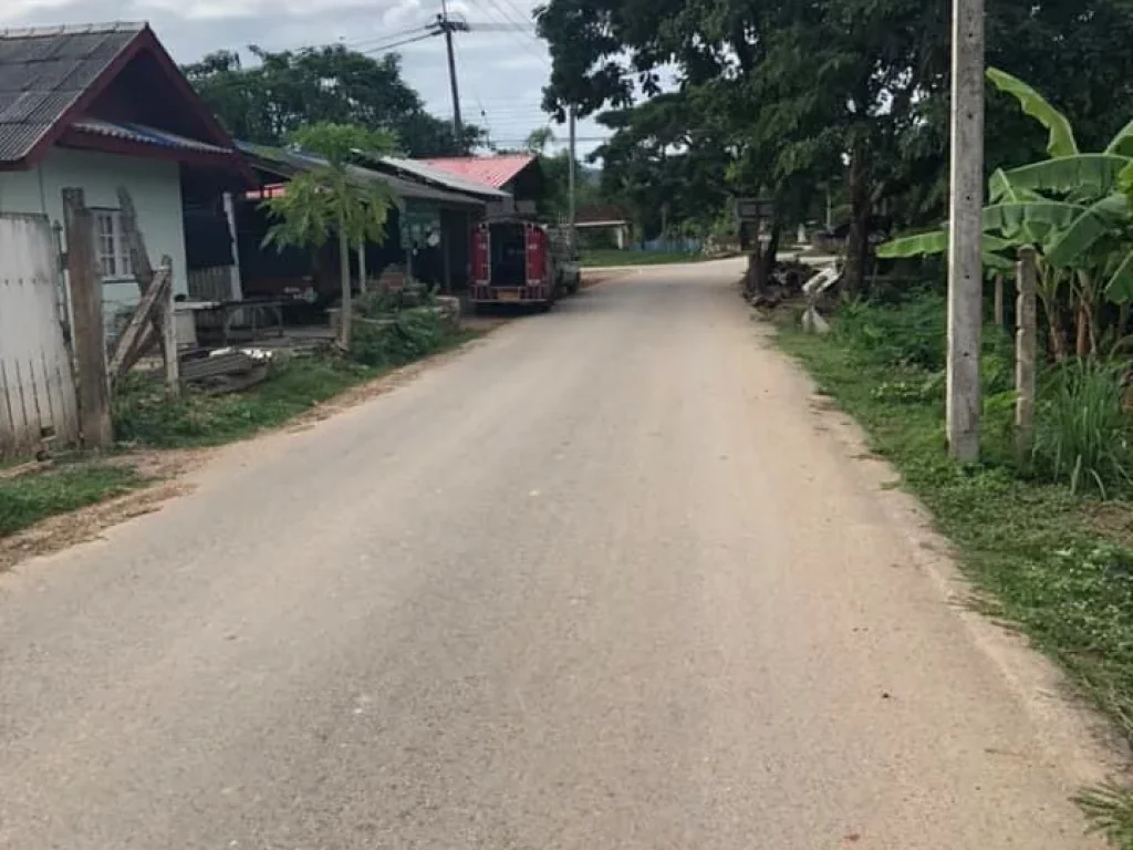 ขายที่ดินห่างตลาดป่าเหมือด 4 km ราคาถูก