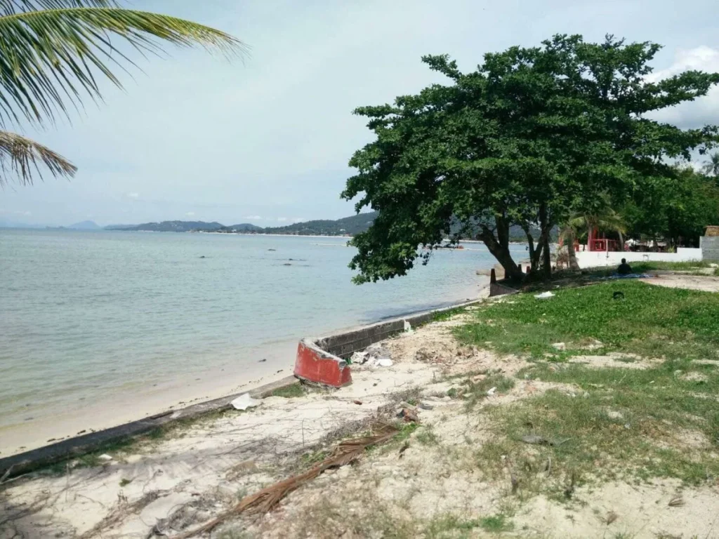 เสนอขายที่ดิน หาดละไม เกาะสมุย เนื้อที่ 7 ไร่ 253 ตรว