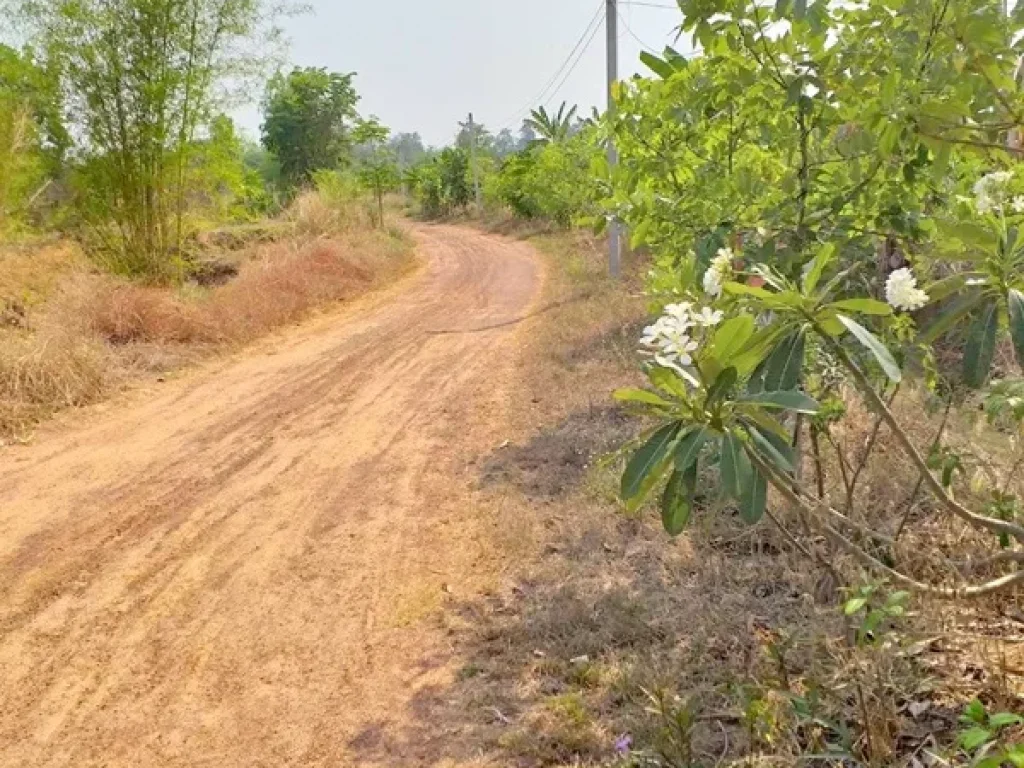 ขายที่ดิน หนองหาน 7 ไร่ 3 งาน 78 ตรวพร้อมฟาร์มเกษตรอินทรย์ อหนองหาน จอุดรธานี