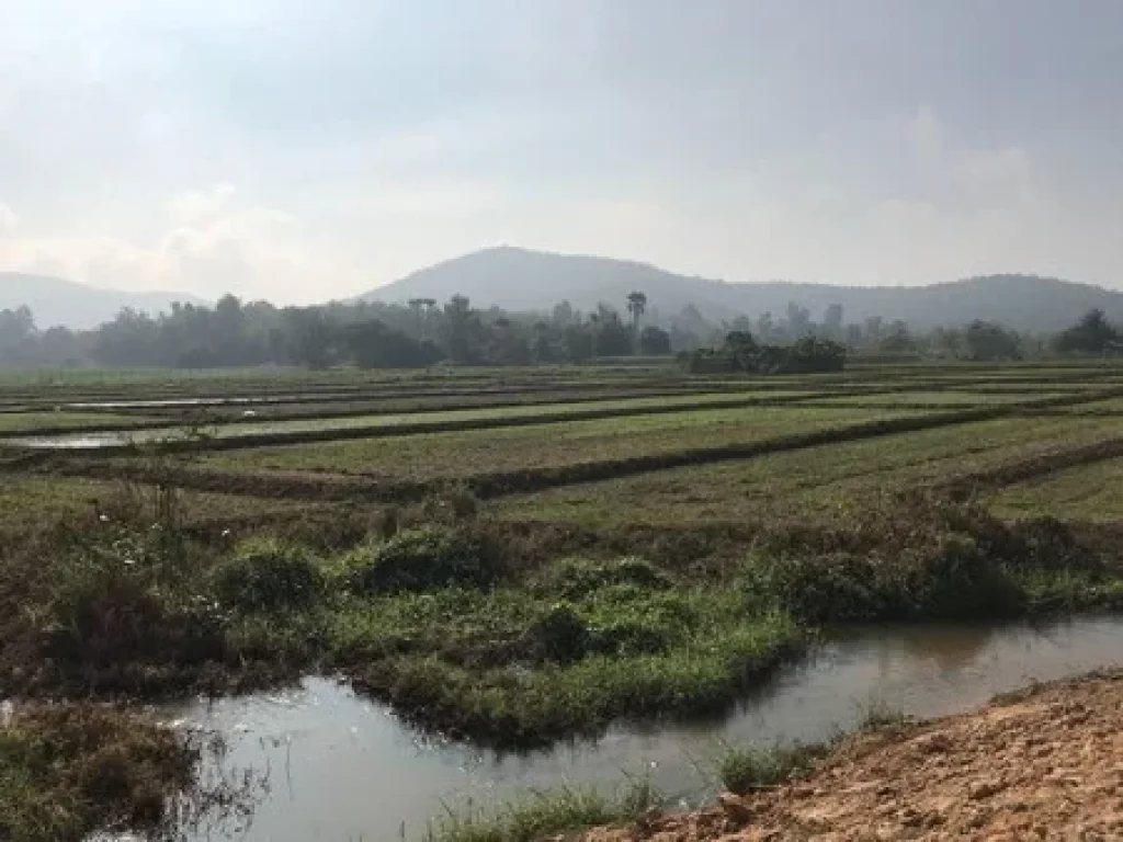 ที่ดินเปล่า 3 แปลง ติดถนนในอำเภอเมือง จังหวัดพะเยา