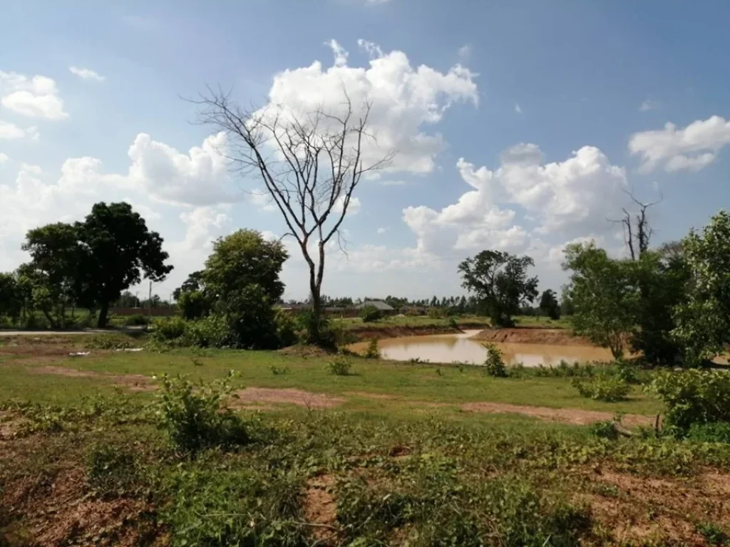 ที่ดิน หนองโพรง เทศบาลอิสาณ