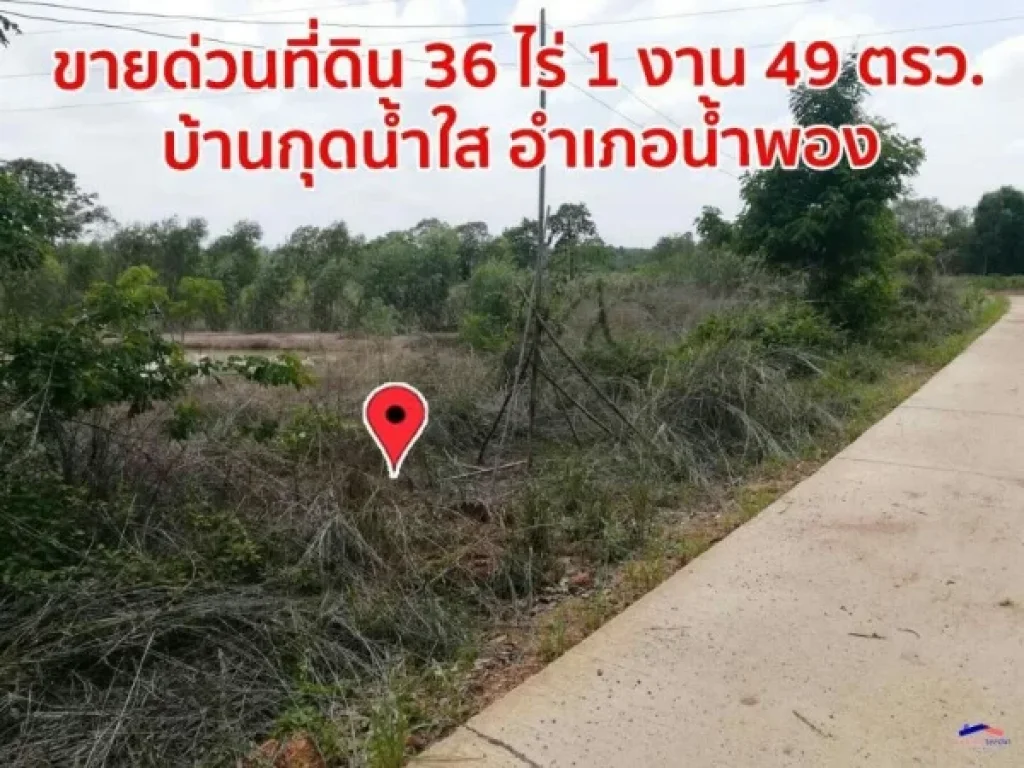 ขายด่วนที่ดิน 36 ไร่ 1 งาน 49 ตรวา บ้านกุดน้ำใส อำเภอน้ำพอง ขอนแก่น