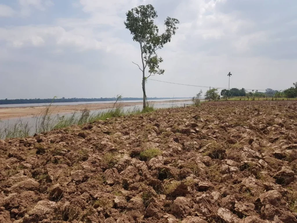 ขายที่ดินติดแม่น้ำโขง อธาตุพนม