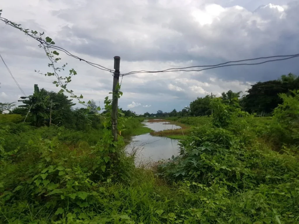 ขายที่ดินติดแม่น้ำโขง อธาตุพนม