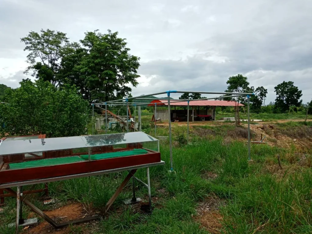 ขายที่ดินสำหรับเกษตรกรรม พร้อมบ้านและเรือนเพาะชำ อหันคา จังหวัดชัยนาจ