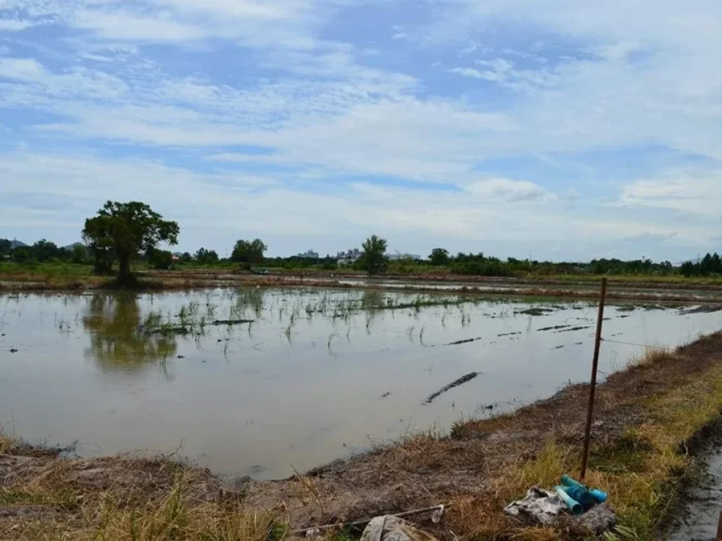 ขายที่ดิน 4ไร่ หลังเครือสหพัฒน์ศรีราชา