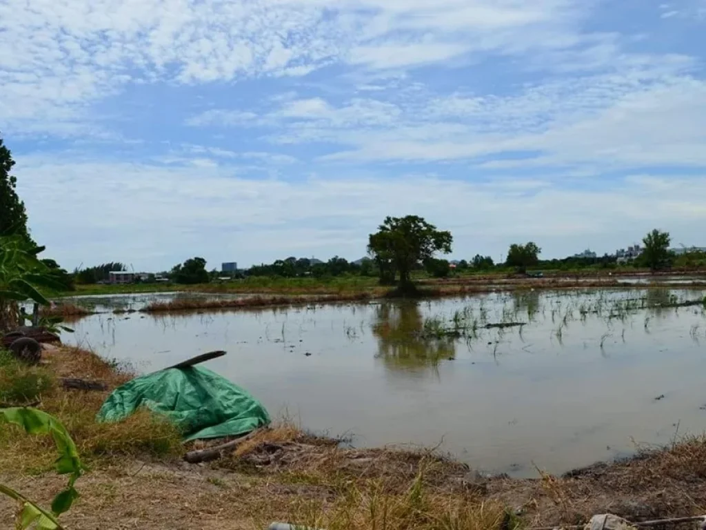 ขายที่ดิน 4ไร่ หลังเครือสหพัฒน์ศรีราชา