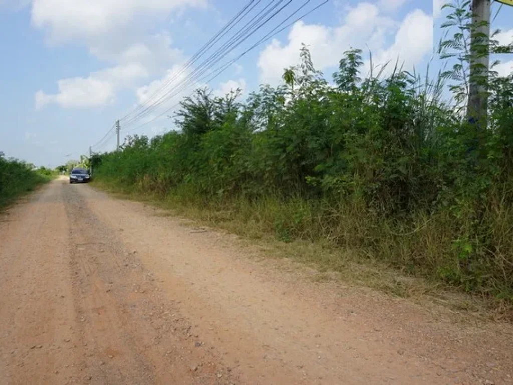 ขาย ที่ดิน ถมแล้ว ตลำไทร อลำลูกกา เนื้อที่ 300 ตรว