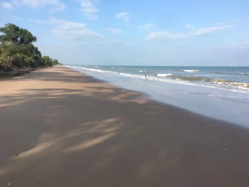 ขายหรือเช่าที่ดินติดทะเลกุยบุรีSaleRent - Beachside Land in KUI BURI PRACHUAP KIRI KHAN 