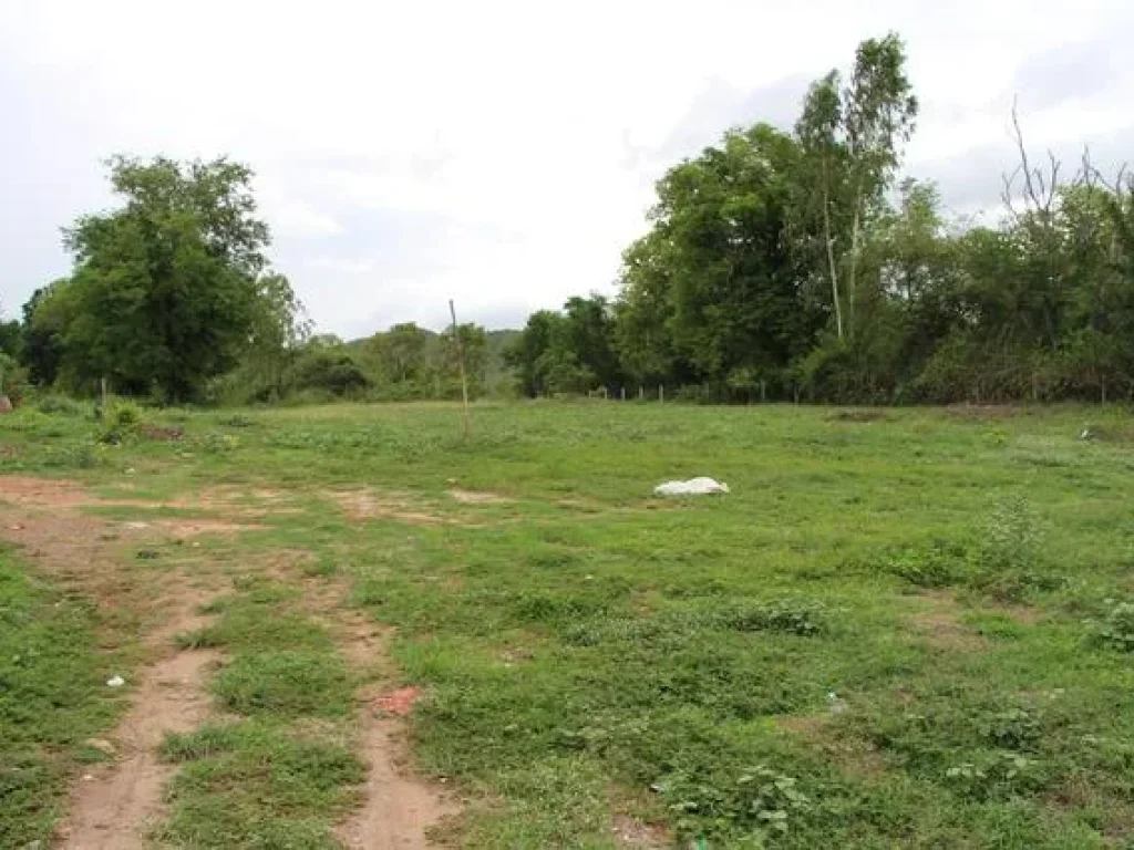 ขายหรือเช่าที่ดินติดทะเลกุยบุรีSaleRent - Beachside Land in KUI BURI PRACHUAP KIRI KHAN 