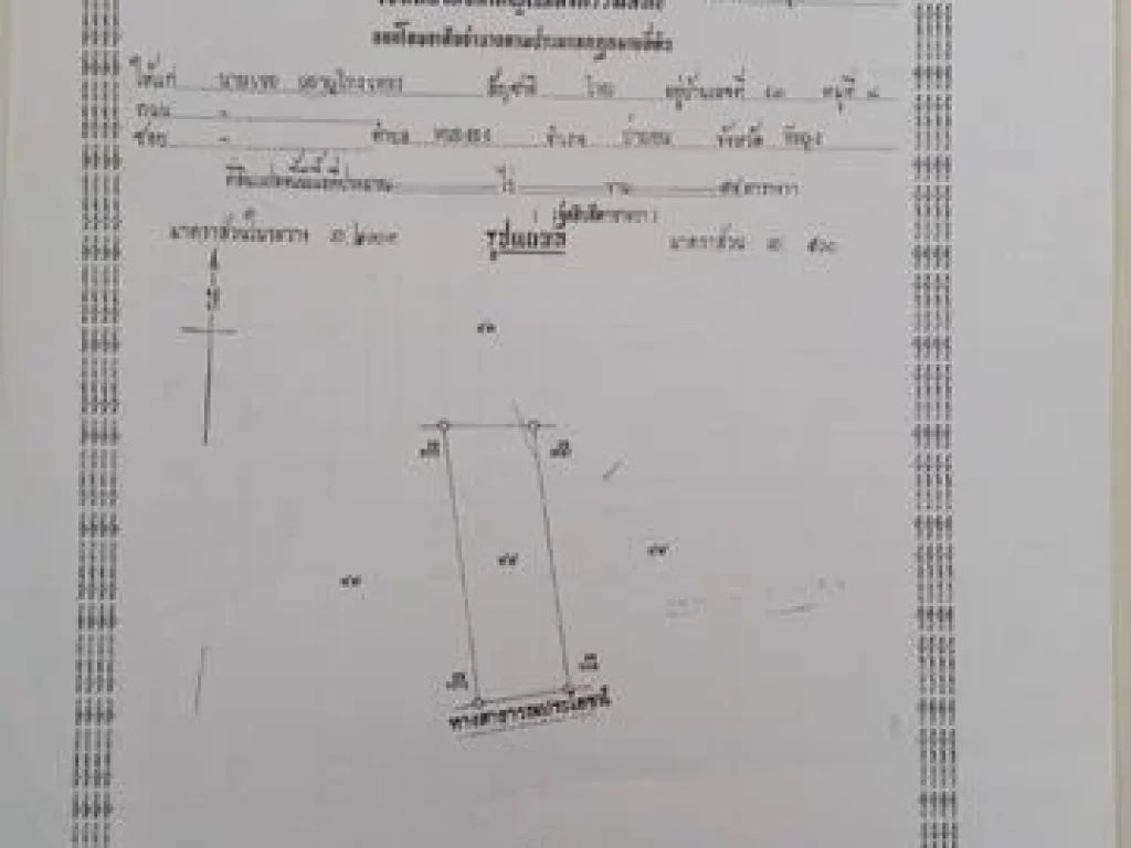 ขายบ้านด่วน เจ้าของขายเอง เนื้อที่ 74 ตารางวา 1 รับแขก 1 ครัว ห่างจากถนนใหญ่สี่แลน 100 เมตร