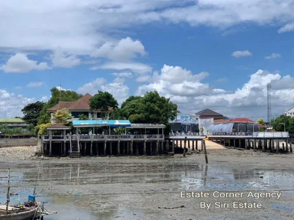 ขาย ที่ดินพร้อมสิ่งปลูกสร้าง และร้านอาหารบ้านมณีซีฟู๊ด พร้อมใบอนุญาตให้ปลูกสร้างสิ่งล่วงล้ำลำแม่น้ำ - 65875