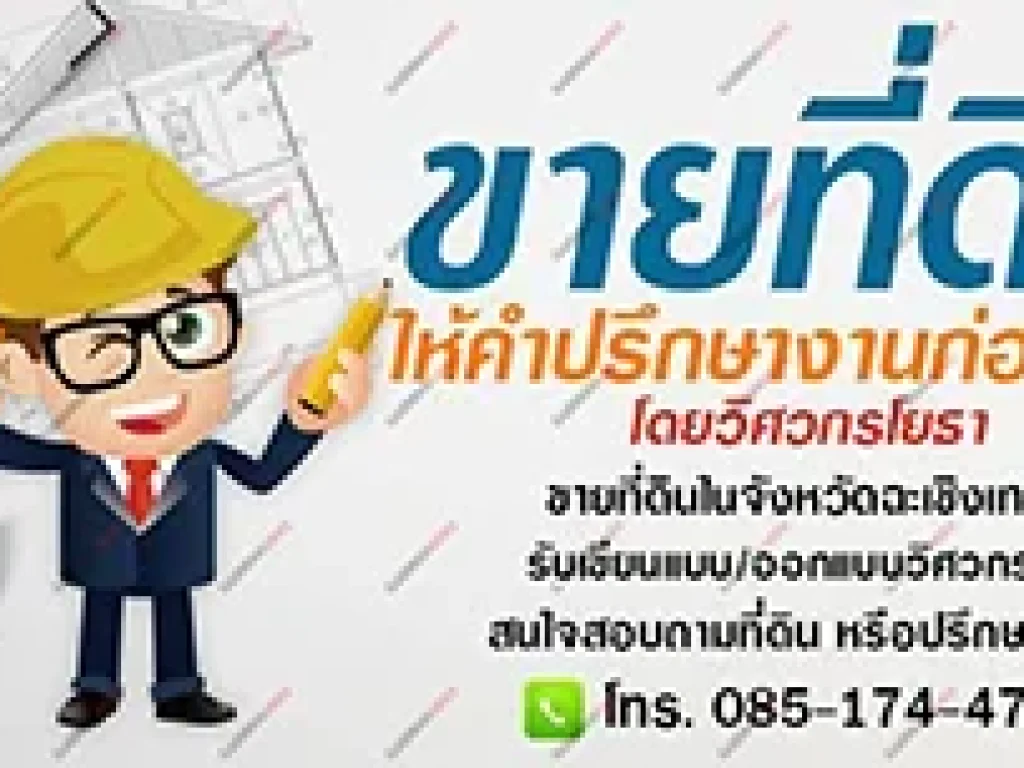 ขายที่ดิน ตำบลท่าไข่และตำบลท่าถ่าน จังหวัดฉะเชิงเทรา