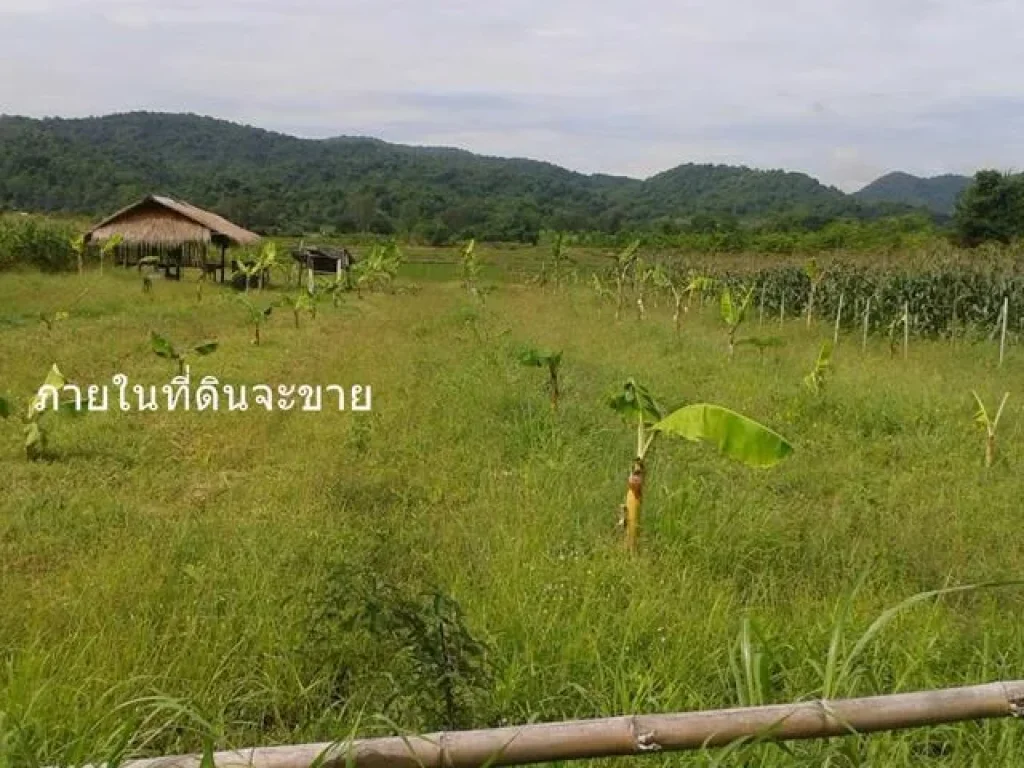 ขายที่ดิน 10 ไร่เศษถบ้านนา แก่งคอย ตท่ามะปราง อแก่งคอย จสระบุรี ไร่ละ 2500000 บาท ติดถนนซอย ทางเข้าวัดโป่งมงคล ห่า